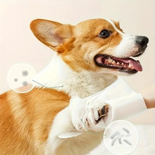 Carregar imagem no visualizador da galeria, Luva de Limpeza a Seco para Pets