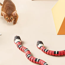 Carregar imagem no visualizador da galeria, Cobra Inteligente com USB - Snake Cat