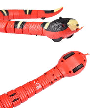 Carregar imagem no visualizador da galeria, Cobra Inteligente com USB - Snake Cat