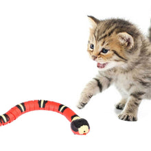 Carregar imagem no visualizador da galeria, Cobra Inteligente com USB - Snake Cat