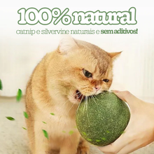 Carregar imagem no visualizador da galeria, Bola de Catnip Gigante para Gatos