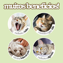 Carregar imagem no visualizador da galeria, Bola de Catnip Gigante para Gatos