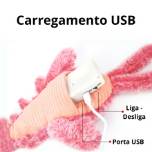 Carregar imagem no visualizador da galeria, Lagosta divertida