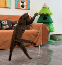 Carregar imagem no visualizador da galeria, Brinquedo Borboleta Interativo para Gatos 🦋