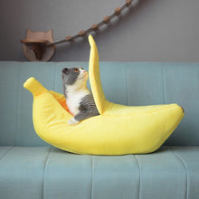 Carregar imagem no visualizador da galeria, Caminha banana para Gatos