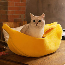 Carregar imagem no visualizador da galeria, Caminha banana para Gatos