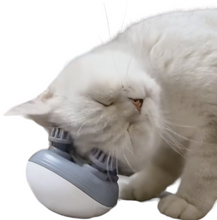 Carregar imagem no visualizador da galeria, Massageador CatCare