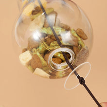 Carregar imagem no visualizador da galeria, Brinquedo Lâmpada Interativa