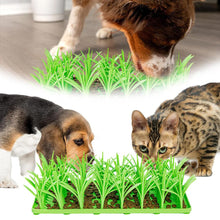Carregar imagem no visualizador da galeria, Tapete Graminha Interativa para Pets