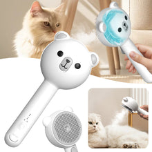 Carregar imagem no visualizador da galeria, Escova com Vapor para Limpeza de Pelos