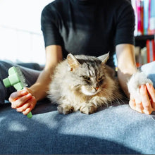 Carregar imagem no visualizador da galeria, Pente Removedor de Pelos para Gatos