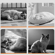 Carregar imagem no visualizador da galeria, Cama Saco de Dormir Pet Cave