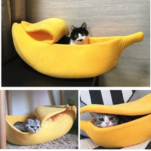 Carregar imagem no visualizador da galeria, Caminha banana para Gatos