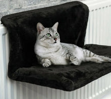 Carregar imagem no visualizador da galeria, 47639683989804|47639684022572