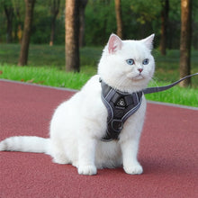 Carregar imagem no visualizador da galeria, Coleira Peitoral para Gatos