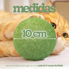 Carregar imagem no visualizador da galeria, Bola de Catnip Gigante para Gatos