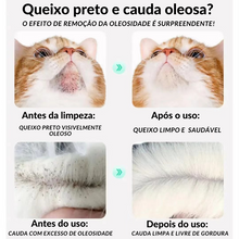 Carregar imagem no visualizador da galeria, Espuma de Limpeza para Acne Felina
