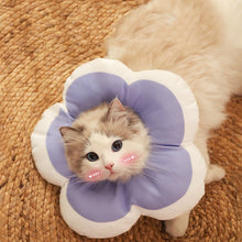 Carregar imagem no visualizador da galeria, Cone de Recuperação Flor