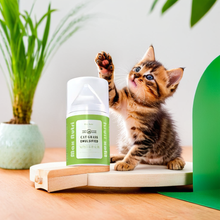 Carregar imagem no visualizador da galeria, Grama de Gato Cremosa