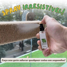 Carregar imagem no visualizador da galeria, Spray Matatabi para Gatos