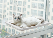 Carregar imagem no visualizador da galeria, Caminha Suspensa para janelas