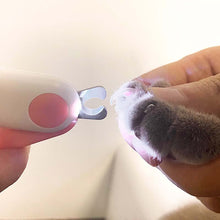 Carregar imagem no visualizador da galeria, NailGlow - Cortador de unhas com led para cães e gatos
