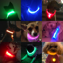 Carregar imagem no visualizador da galeria, LightDog - Coleira de Led para Cachorro
