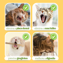Carregar imagem no visualizador da galeria, Bastão Mordedor Natural para Gatos
