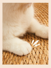 Carregar imagem no visualizador da galeria, Tapete Arranhador de Taboa Trançada
