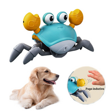 Carregar imagem no visualizador da galeria, Brinquedo Caranguejo Fujão
