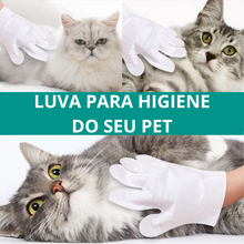 Carregar imagem no visualizador da galeria, Luvas de Limpeza a Seco para Cães e Gatos
