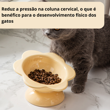 Carregar imagem no visualizador da galeria, Comedouro Elevado de Cerâmica Flor
