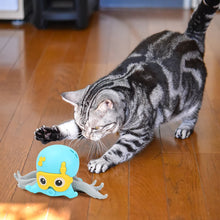 Carregar imagem no visualizador da galeria, Polvo Fujão
