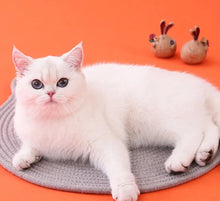 Carregar imagem no visualizador da galeria, 48145686233388
