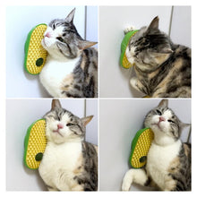 Carregar imagem no visualizador da galeria, Escova Massageadora com Bolinha de Catnip
