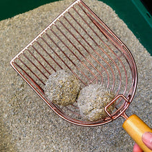 Carregar imagem no visualizador da galeria, Pá Coletora com Punho De Madeira
