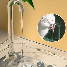 Carregar imagem no visualizador da galeria, Bebedouro Transparente Automático para Gatos - AquaPurr
