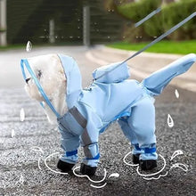 Carregar imagem no visualizador da galeria, 49745438966060|49745438998828|49745439031596|49745439064364|49745439097132
