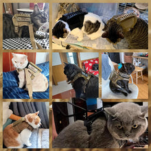 Carregar imagem no visualizador da galeria, Coleira Peitoral Tático Antifuga com Guia para Gatos

