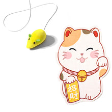 Carregar imagem no visualizador da galeria, Carpete Arranhador Adesivo – Versão Estampa 2.0
