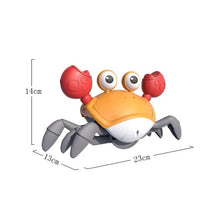 Carregar imagem no visualizador da galeria, Brinquedo Caranguejo Fujão
