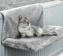 Carregar imagem no visualizador da galeria, 47639684120876|47639684153644
