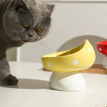 Carregar imagem no visualizador da galeria, Comedouro de Cerâmica para gatos
