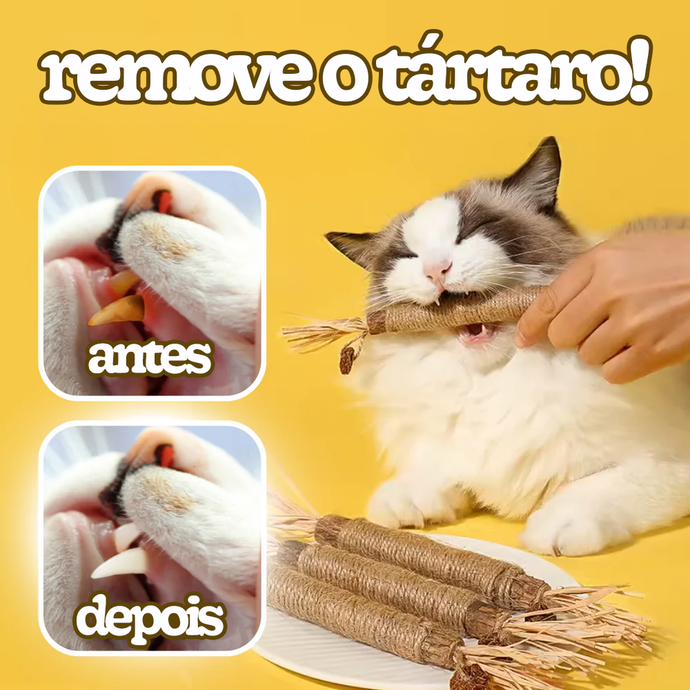Bastão Mordedor Natural para Gatos