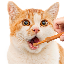 Carregar imagem no visualizador da galeria, Kit de Escovação de Dentes de Silicone para Pets
