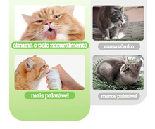 Carregar imagem no visualizador da galeria, Grama de Gato Cremosa
