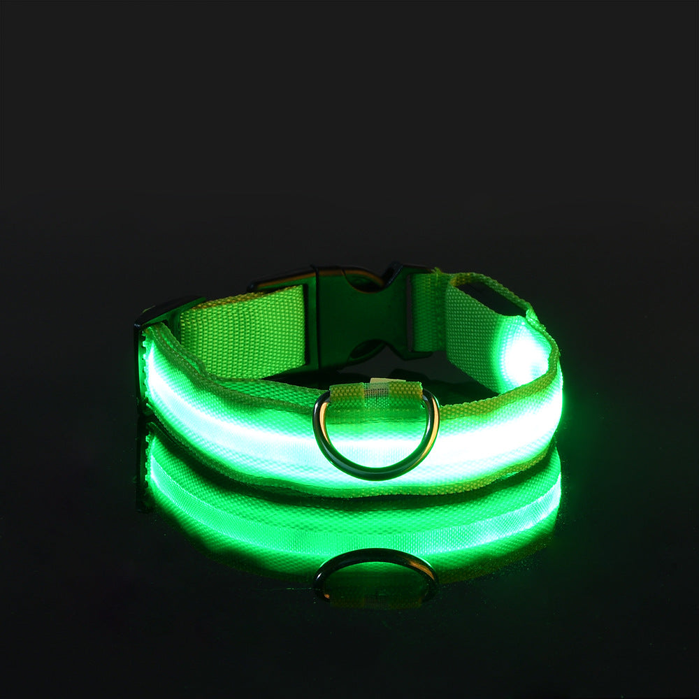 LightDog - Coleira de Led para Cachorro